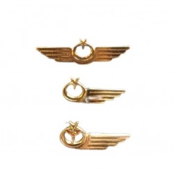 JİHA TEKNİSYEN METAL BRÖVE JİHA TEKNİSYEN METAL BRÖVE