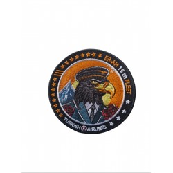 ER-AH 15 FLEET PATCH ER-AH 15 FLEET PATCH