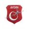 AYDIN
