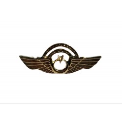 METAL HARİCİ ÇİFT KÖPRÜ PİLOT BRÖVESİ METAL HARİCİ ÇİFT KÖPRÜ PİLOT BRÖVESİ