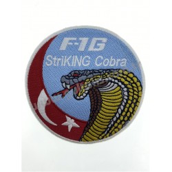 F-16 STRIKING COBRA
