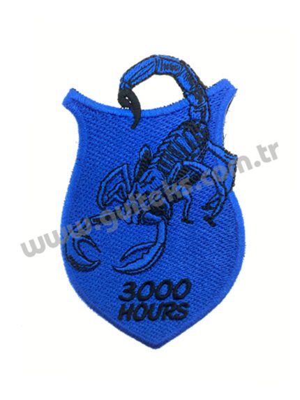3000 HOURS