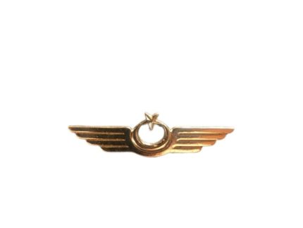 JİHA PİLOT METAL BRÖVE