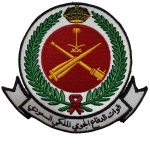 ROYAL AİRFORCE STIL 2 PATCH
