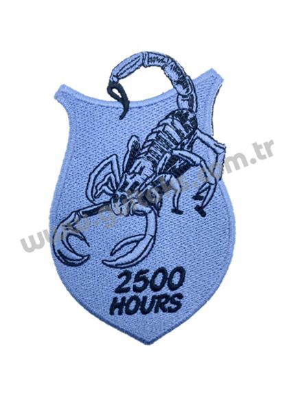 AKREP 2500 HOURS