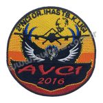 AVCI 2016 2. OR.