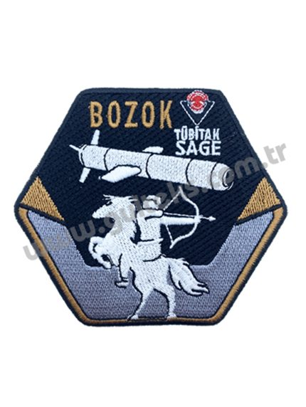 BOZOK TÜBİTAK SAGE
