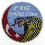 F-16 STRIKING COBRA